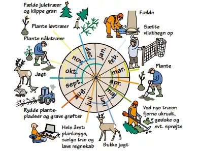 Året rundt i skovbruget.