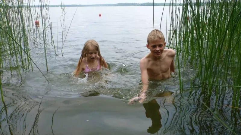 Fang smådyr i søen - og lav et akvarium.