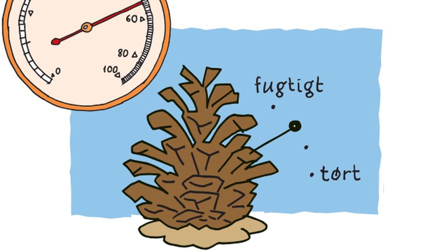 M l Vejr Skoven I Skolen