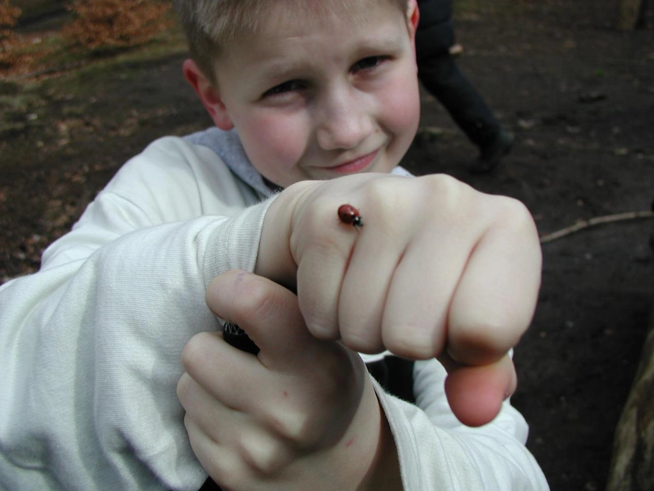 Mariehøne på hånden af en dreng