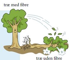 Træ med og uden fibre