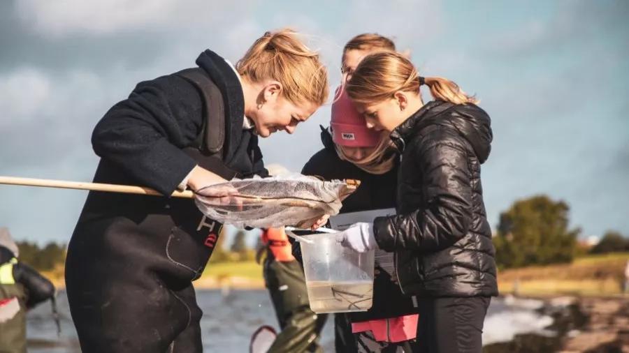 Bliv Skjoldunge fjordens liv og stenrev. Foto: INSP Media
