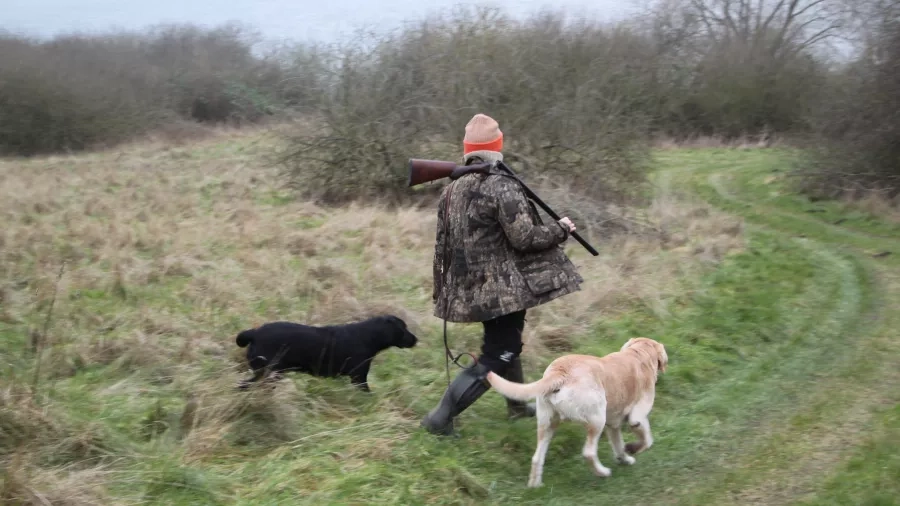 jæger med hunde på jagt