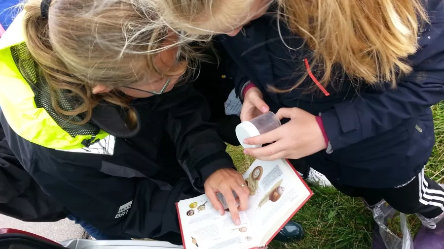 Elever lærer nye arter at kende i naturen. Foto: Nationalpark Thy.