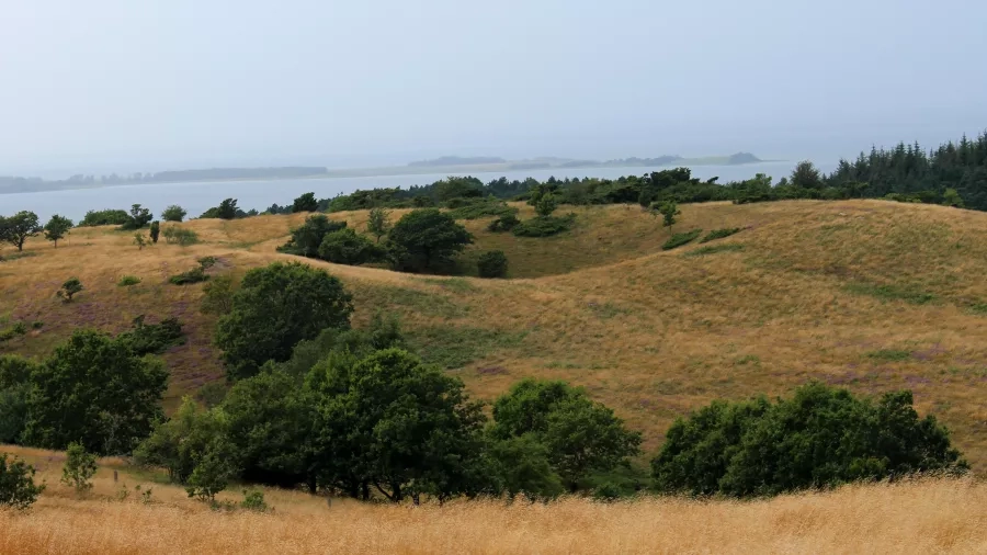 Her ses et dødishul i Molslaboratoriet. Foto: Nationalpark Mols Bjerge.