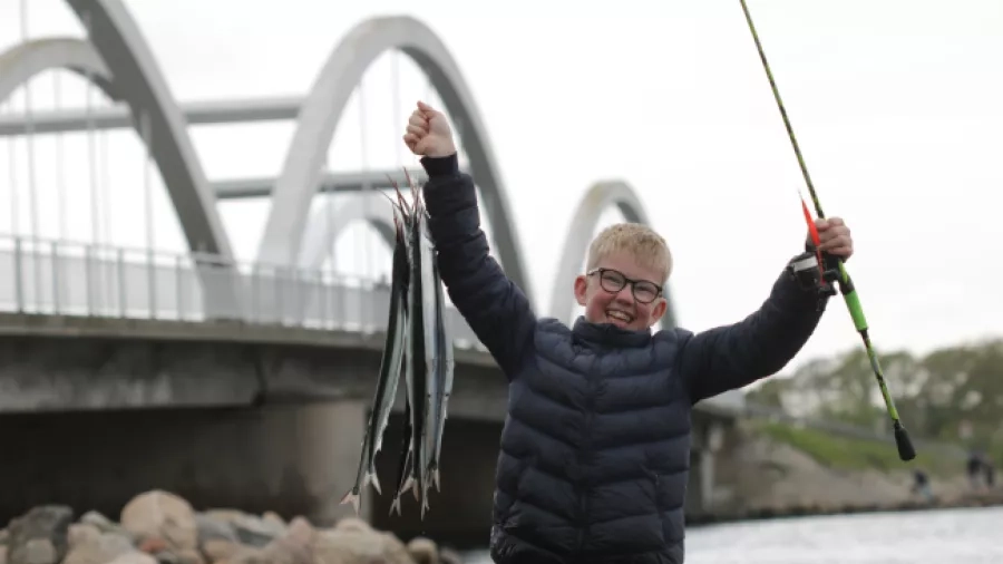 Dreng har fanget hornfisk. Foto: Henrik Larsen