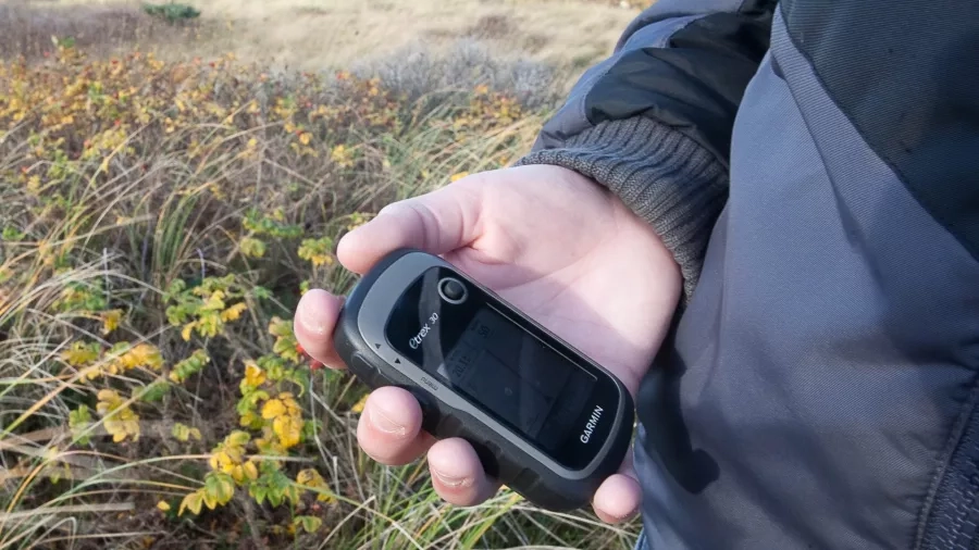 Elev bruger GPS til at måle arealet af rynket rose. Foto: Nationalpark Thy. 