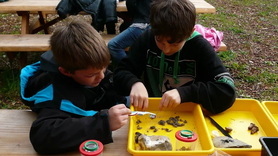 Udeskolebørn undersøger dyrespor. Foto: Nationalpark Mols Bjerge.