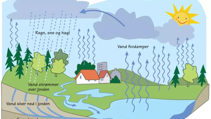 Vandets kredsløb.  Infografik: Eva Wulff