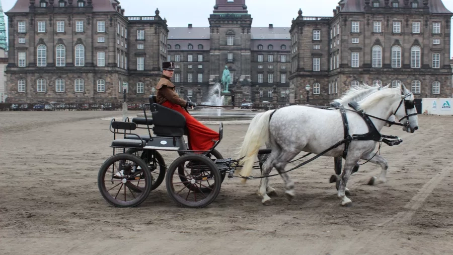 Udekskole ved Christiansborg. Foto: Malene Bendix.