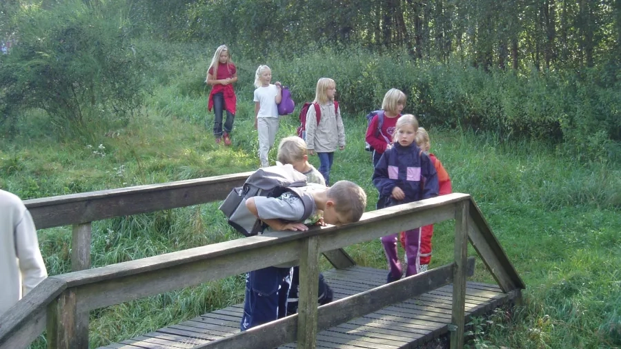Udeskolebørn fra Hammerum skole på vej over en bro. Foto: Frank Juel.