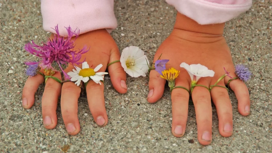 Fine blomsterringe. Foto: Jørn Kildal.