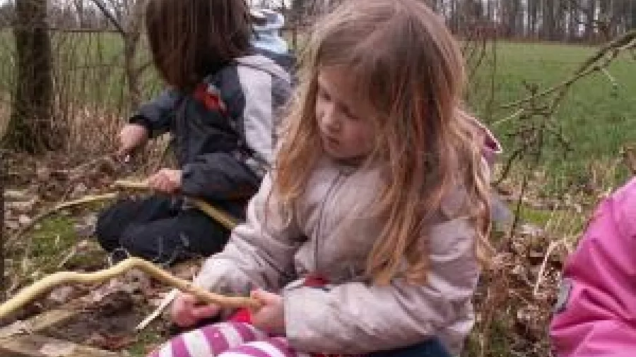 Snit en smørekniv - og undersøg træ. Foto: Malene Bendix. Snit en smørekniv.