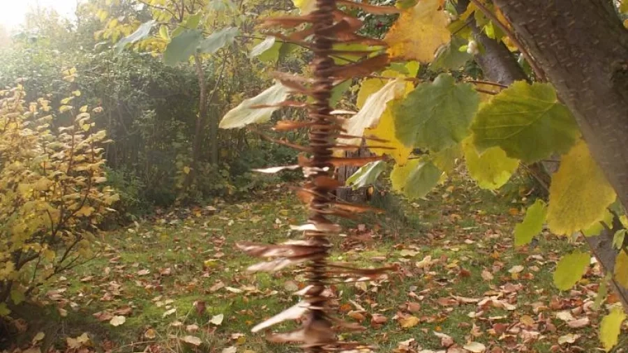 Her kan du se en uro af propeller fra løn. Den snurrer let - og er let at lave. Foto: Malene Bendix.