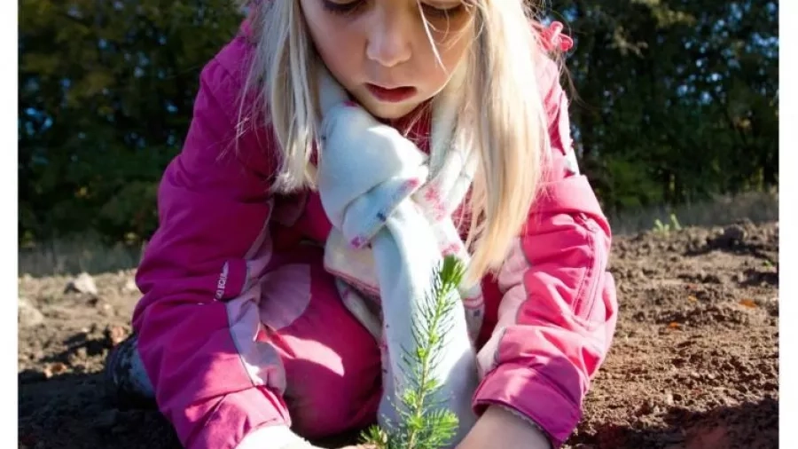 Pige planter et træ med Genplant Planeten. Foto: Simon Høgsberg.