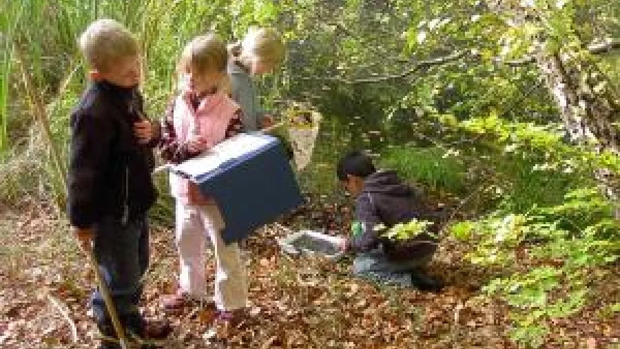 Udeskolebørn fra Bybækskolen undersøger et vandhul. Foto: Krarup.