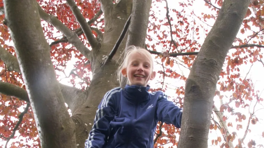 Pige i træ - fra udeskole på Sophienborgskolen. Foto: Malene Bendix.