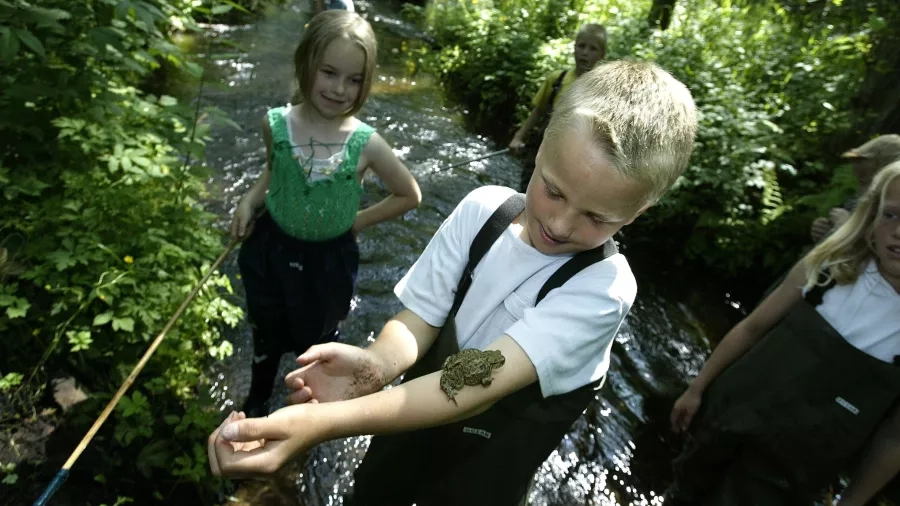 Udeskolebørn fra Baunehøjskolen i bæk. Foto: Henning Bagger.