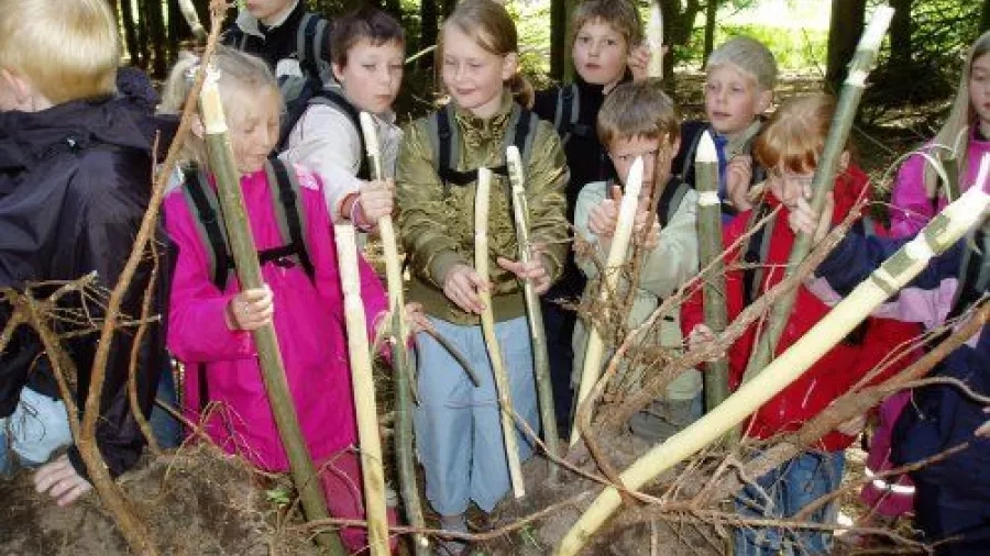 Udeskolebørn fra Hammerum skole har snittet vandrestave. Foto: Frank Juel.