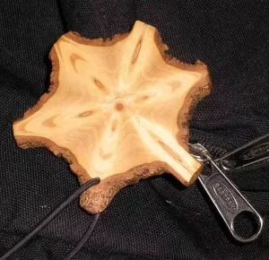 Her er savet en skive af et juletræ lige i grenkransen. Foto: Palle Holm. Skive af grenkrans af et juletræ.