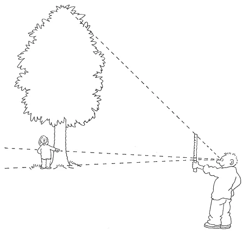 Den svenske målepind kan bruges til at måle store ting, som træer og bygninger