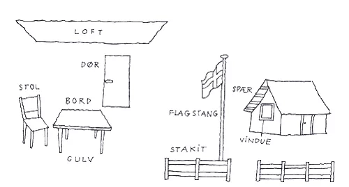 Find træ i dine omgivelser. Tegning: Eva Wulff.