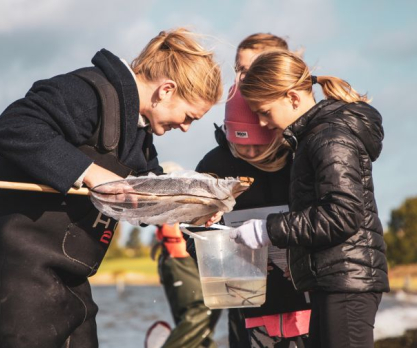 Bliv Skjoldunge fjordens liv og stenrev. Foto: INSP Media