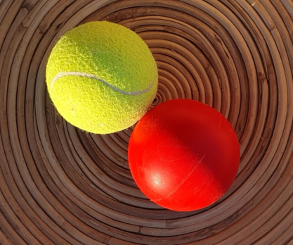Bolde på størrelse med tennisbolde. Foto: Malene Bendix