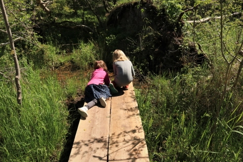 Børn undersøger vandhul i urørt skov