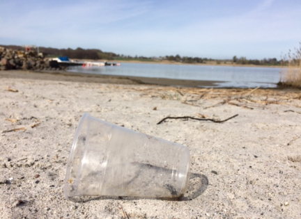 Plastikglas på stranden