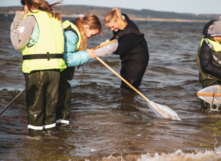 Bliv Skjoldunge fjordens liv og stenrev. Foto: INSP Media