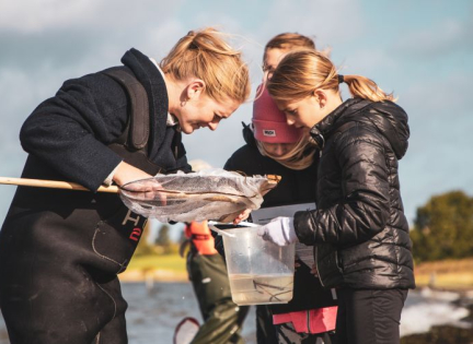 Bliv Skjoldunge fjordens liv og stenrev. Foto: INSP Media