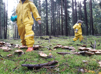Børn leger i skovbunden