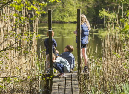 Børn undersøger en sø fra en badebro. Foto: Center for Børn og Natur.