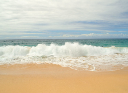 Strand og hav med bølger. Foto: jdnx, Creative Commons by 2.0  
