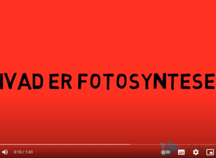 Hvad er Fotosyntese?