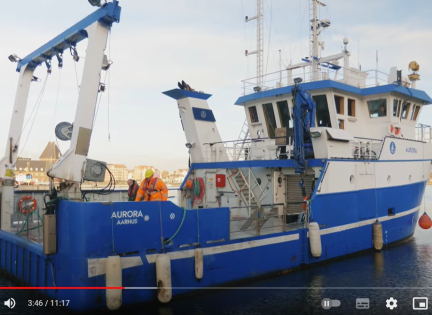 Mad fra Havet: Kapitel 2 - Pelagisk fiskeri - bæredygtige løsninger i stimevis 