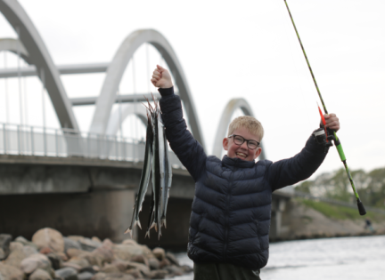 Dreng har fanget hornfisk. Foto: Henrik Larsen