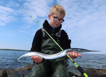 Dreng og hornfisk. Foto: Henrik Larsen.