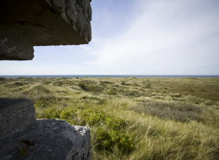 Batteri 1 i Hanstholm. Foto: Nationalpark Thy.