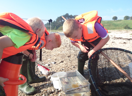 Udeskolebørn i fuld færd med at undersøge fangsten. Foto: Nationalpark Mols Bjerge.