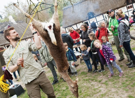 Jæger på Boserupgård Naturcenter. Foto: Simon Høgsberg.