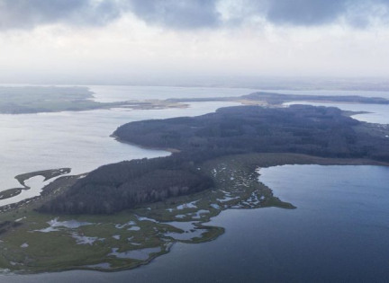 Bognæs. Foto: Ole Malling.