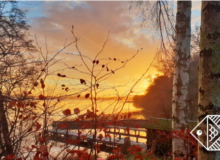 Flotte omgivelser på Fiskebæk Naturskole. Foto: Fiskebæk Naturskole.
