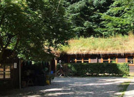 Tag ud og hav en dejlig dag ved Vestre Hus Børnenatrucenter. Foto: Vestre Hus Børnenatucenter.