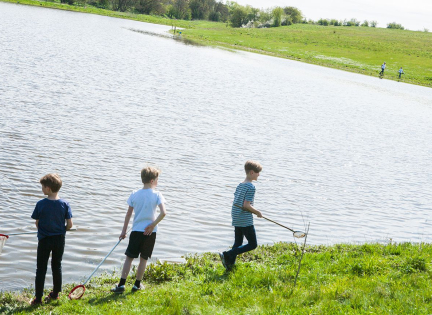 Børn fisker med net ved vandhul. Foto: Simon Høgsberg.