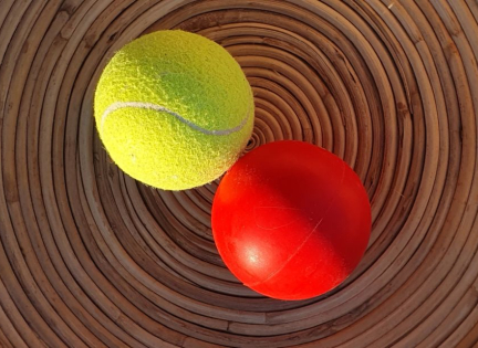 Bolde på størrelse med tennisbolde. Foto: Malene Bendix
