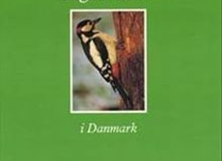 Forsiden af bogen "Rigere skov i Danmark".
