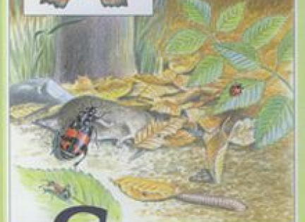 Forside af bogen "Smådyr i skoven".
