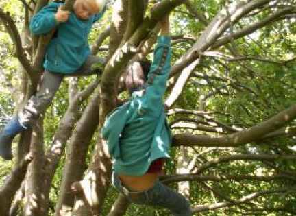 Udeskoledrenge fra Kvaglundskolen klatrer i træer. Foto: Malene Bendix.